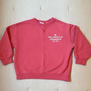 Zara Pink Crew Neck Embroidered Sweatshirt